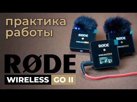 Rode Wireless Go II | Практика работы